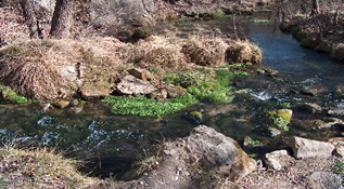 City Springs